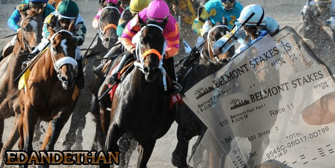 Horse Betting