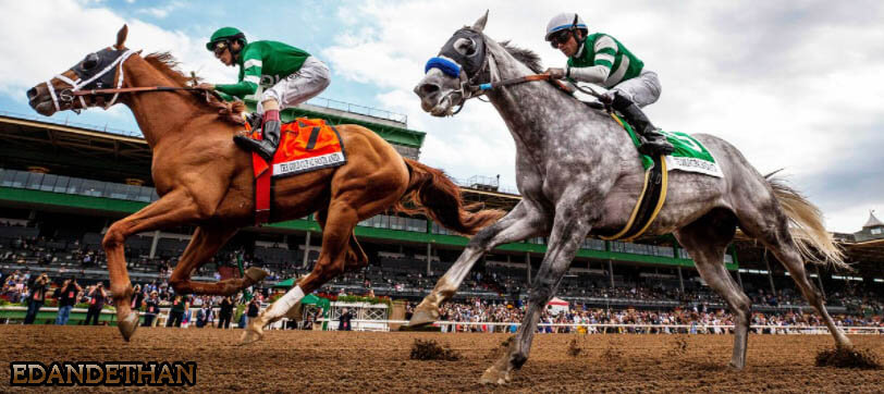 Horse Racing